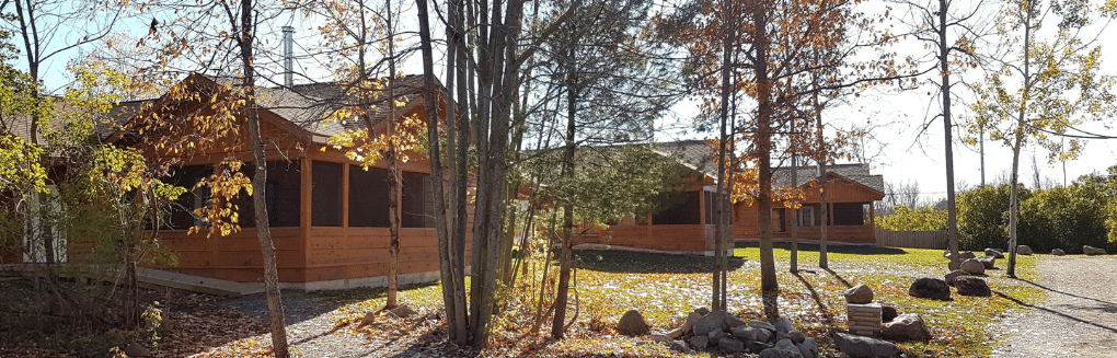 A group of cabins in the woods